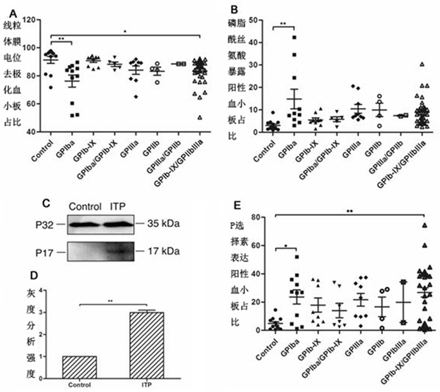 Application of platelet-related inhibitors in the preparation of drugs for treating thrombocytopenia