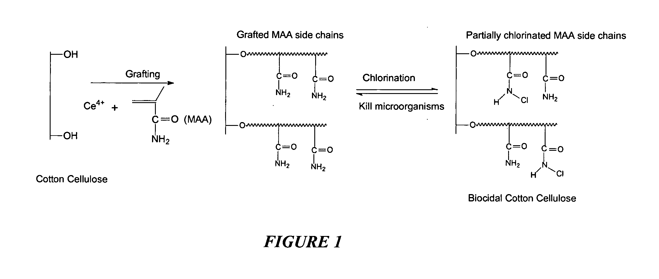 Compositions and methods for making and using acyclic N-halamine-based biocidal polymeric materials and articles