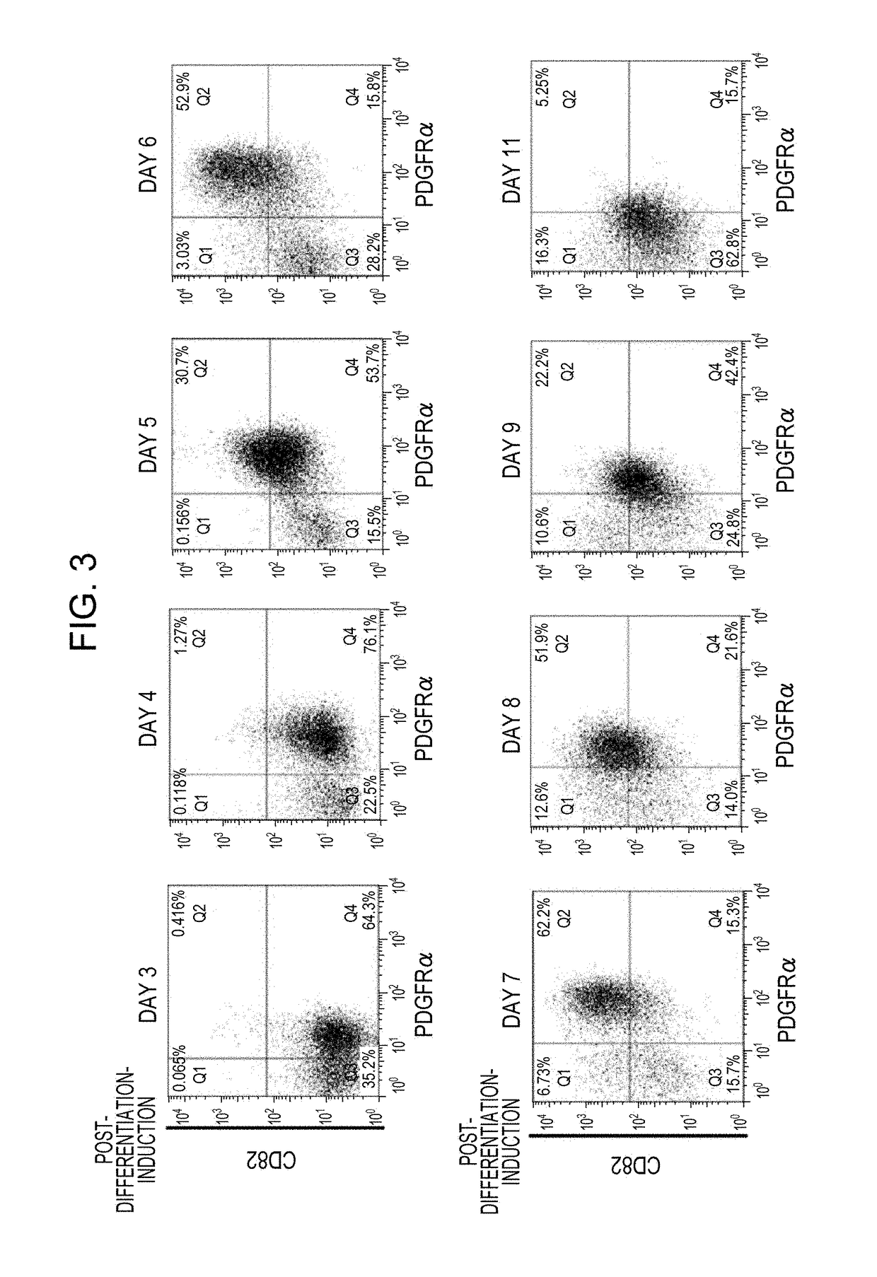 CD82-positive cardiac progenitor cells