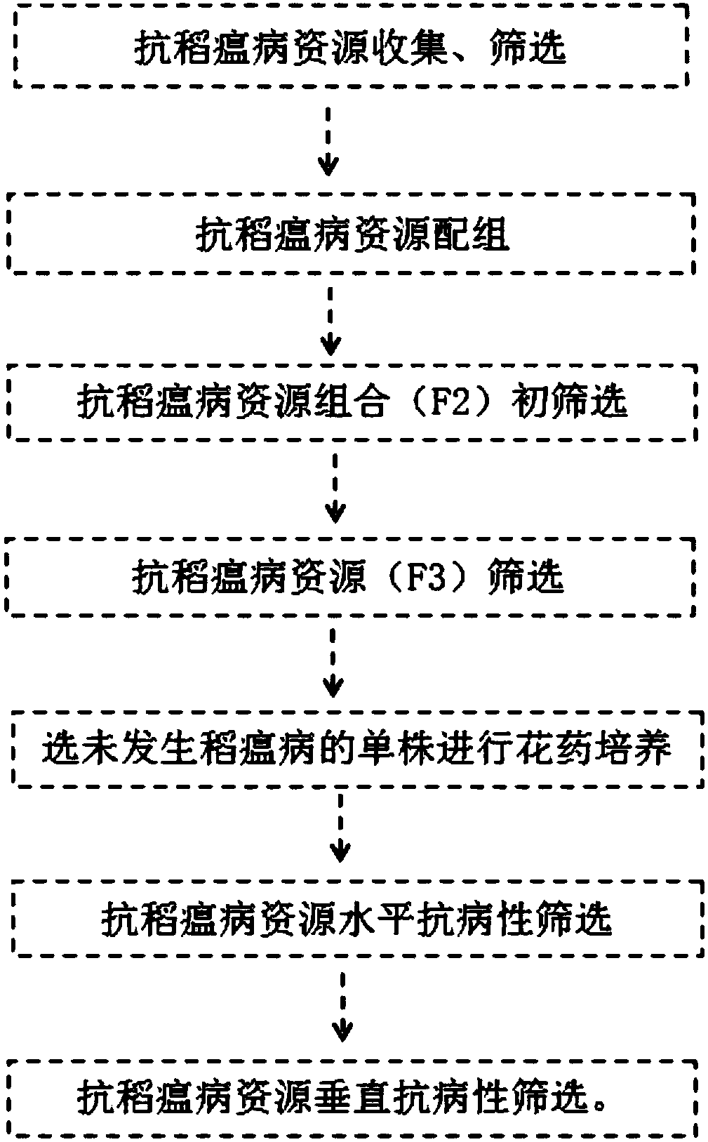 Breeding method for rice with high and stable resistance to rice blast