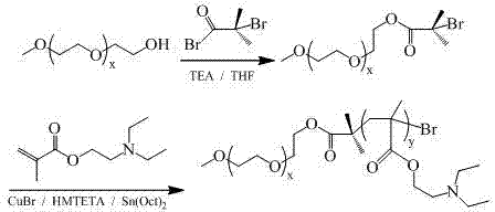 ph responsive polymer mixed micelle and application thereof