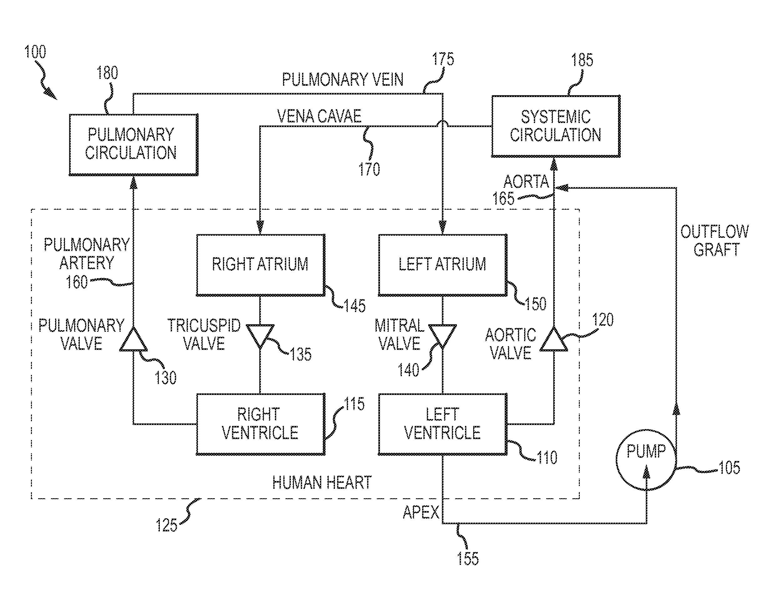 Blood pump and method of suction detection