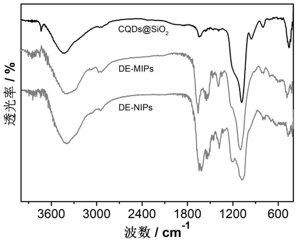 A kind of dual-emission fluorescent molecularly imprinted polymer nanoparticle and its preparation method and application