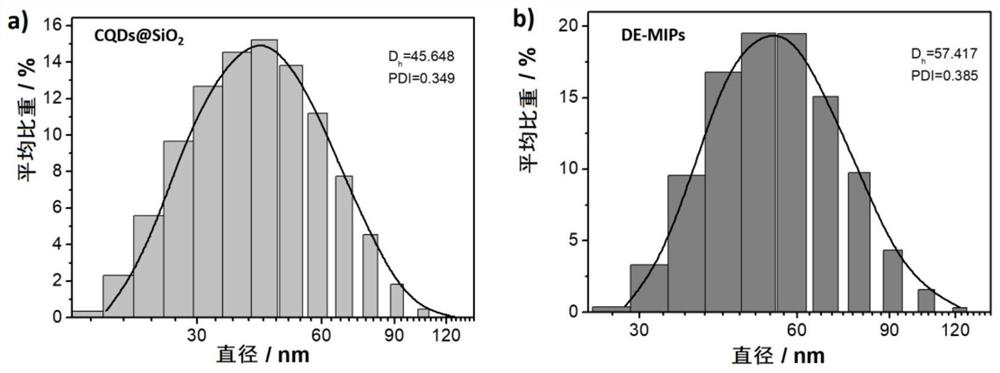 A kind of dual-emission fluorescent molecularly imprinted polymer nanoparticle and its preparation method and application