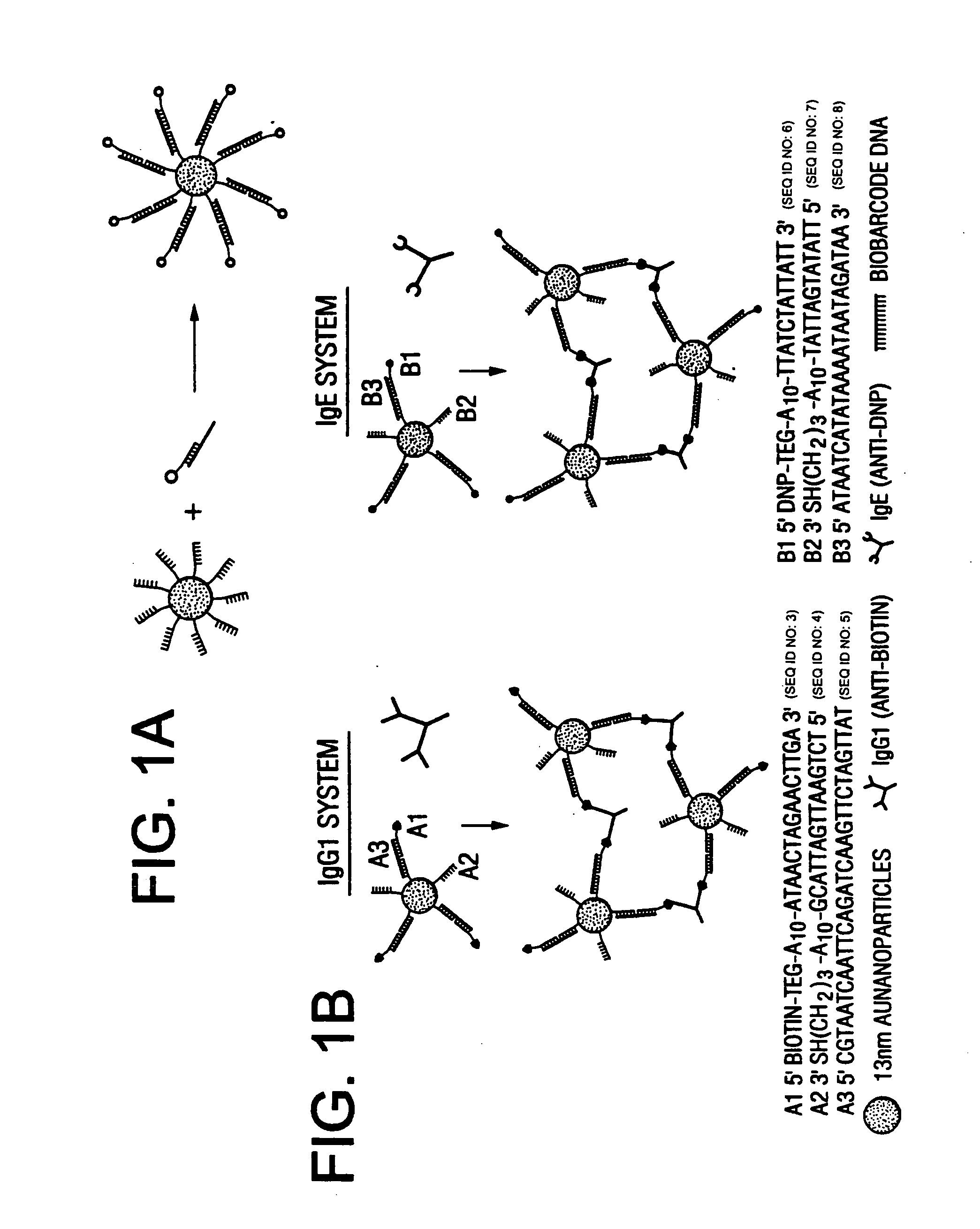 Bio-barcodes based on oligonucleotide-modified particles