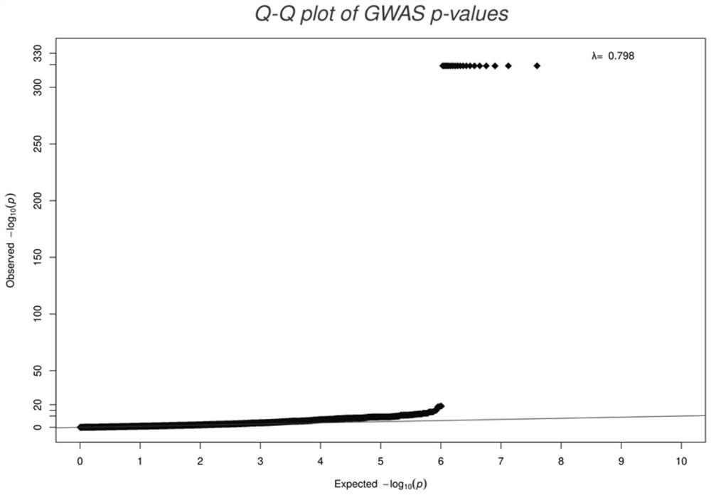 Chicken feather turning character causal mutation site and application thereof in genetic breeding