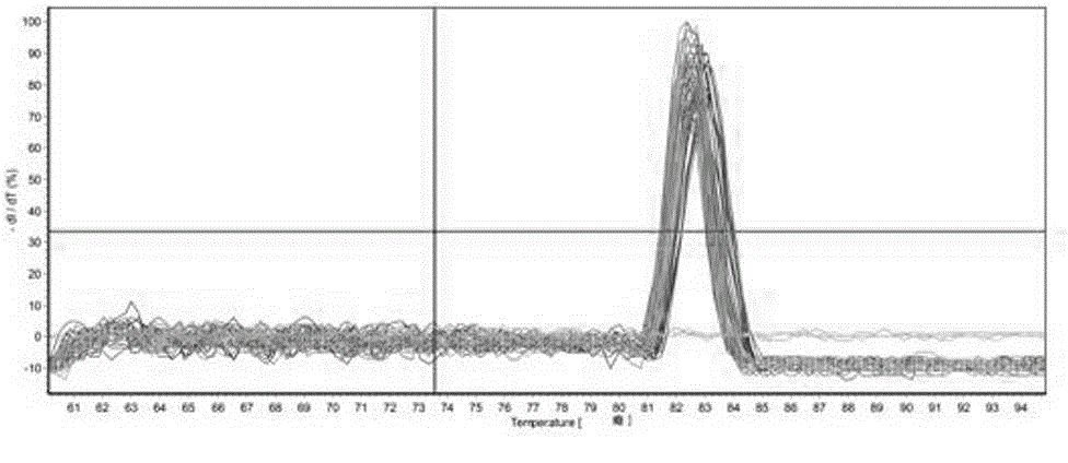 TUA segment sequence for Phalaenopsis internal reference gene