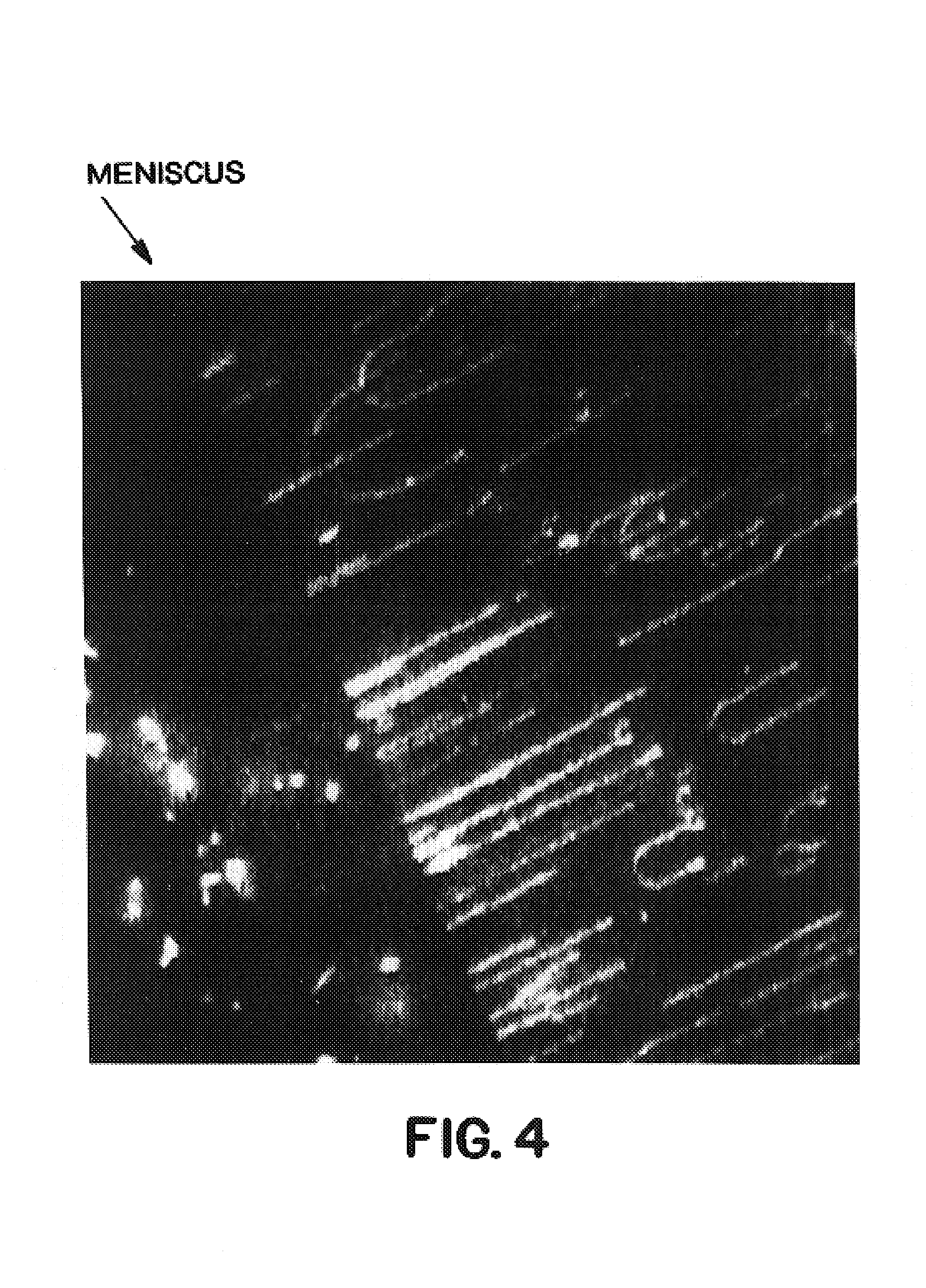 Process for aligning macromolecules by passage of a meniscus and applications