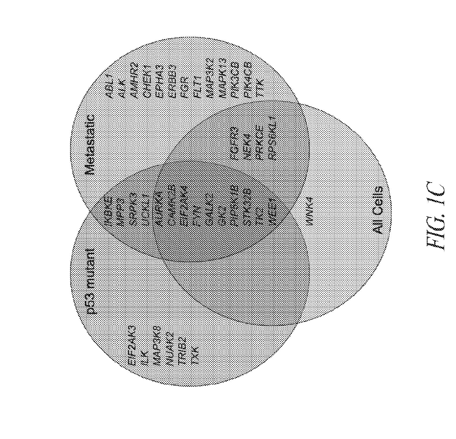 Methods for identifying therapeutic targets and treating monitoring cancers