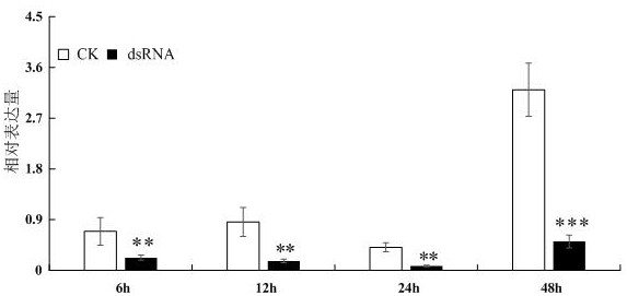 Lepidoptera insect Hpx12 gene and application