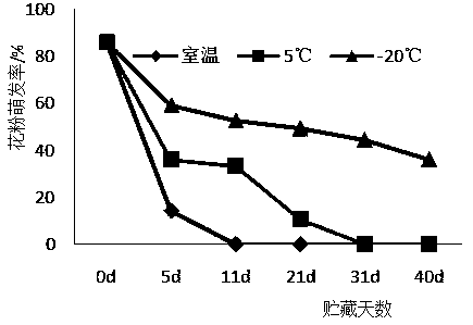 Method used for Lonicera fragrantissima in vitro pollen short period storage