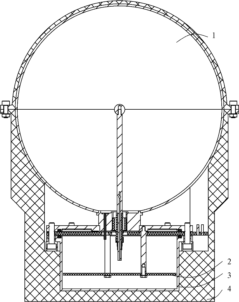 Detector device for radiation monitoring