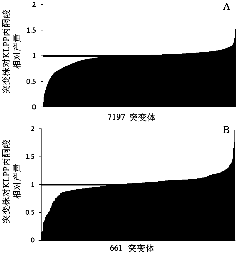 Method for increasing pyruvic acid accumulated in escherichia coli