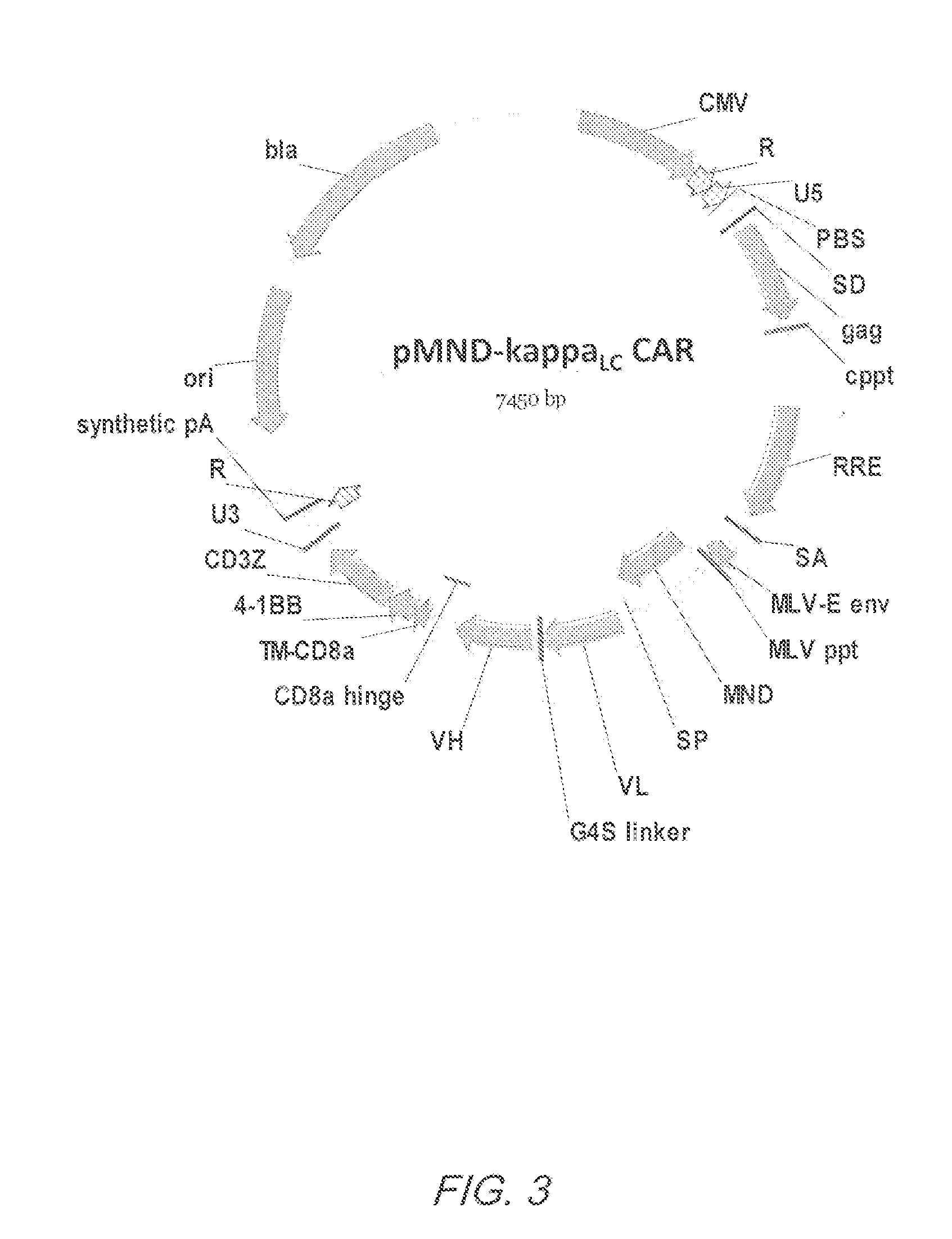 Mnd promoter chimeric antigen receptors