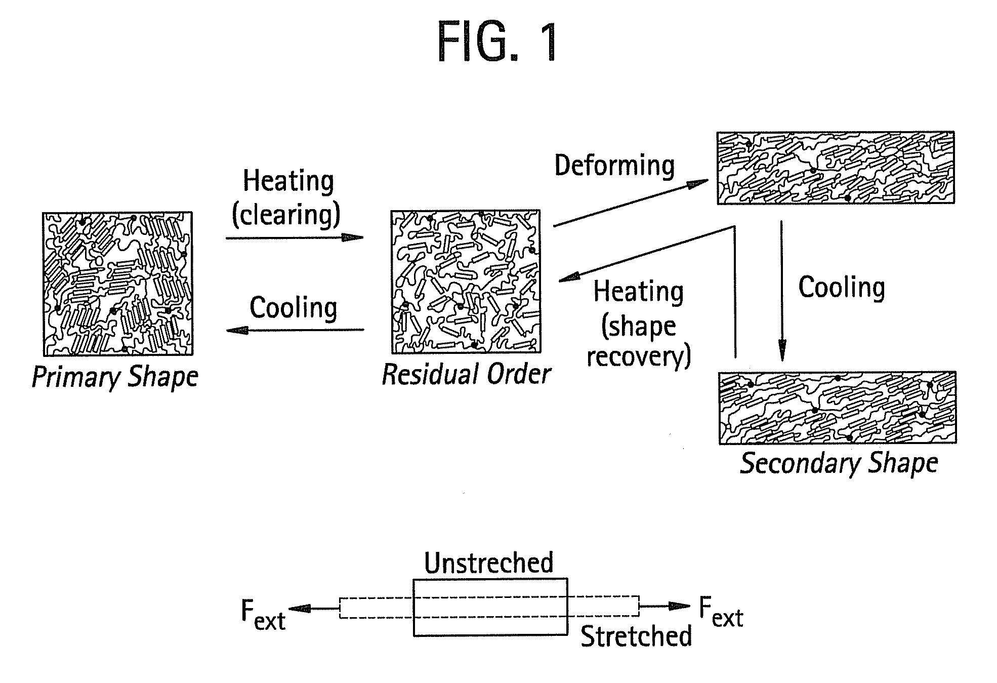 Shape memory main-chain smectic-c elastomers