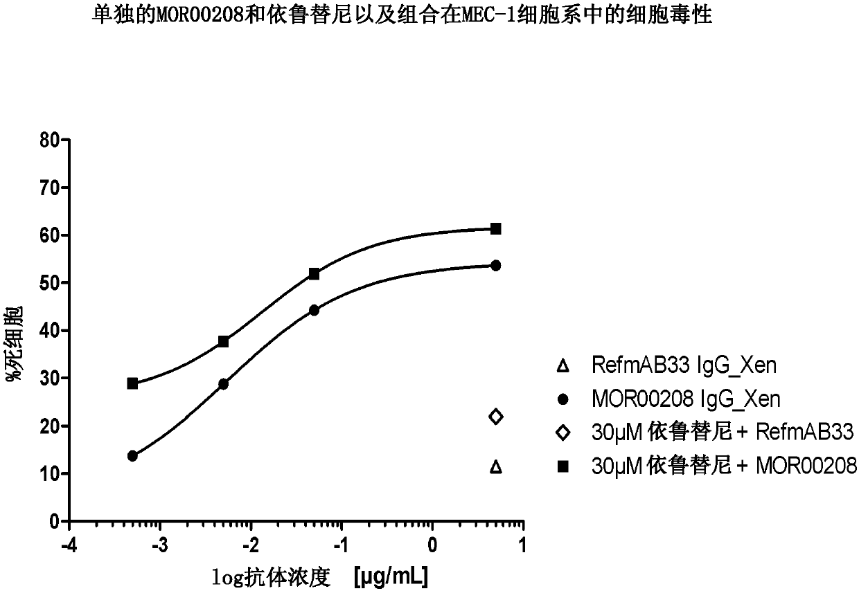 Combination Of An Anti-Cd19 Antibody And A Bruton's Tyrosine Kinase Inhibitor And Uses Thereof