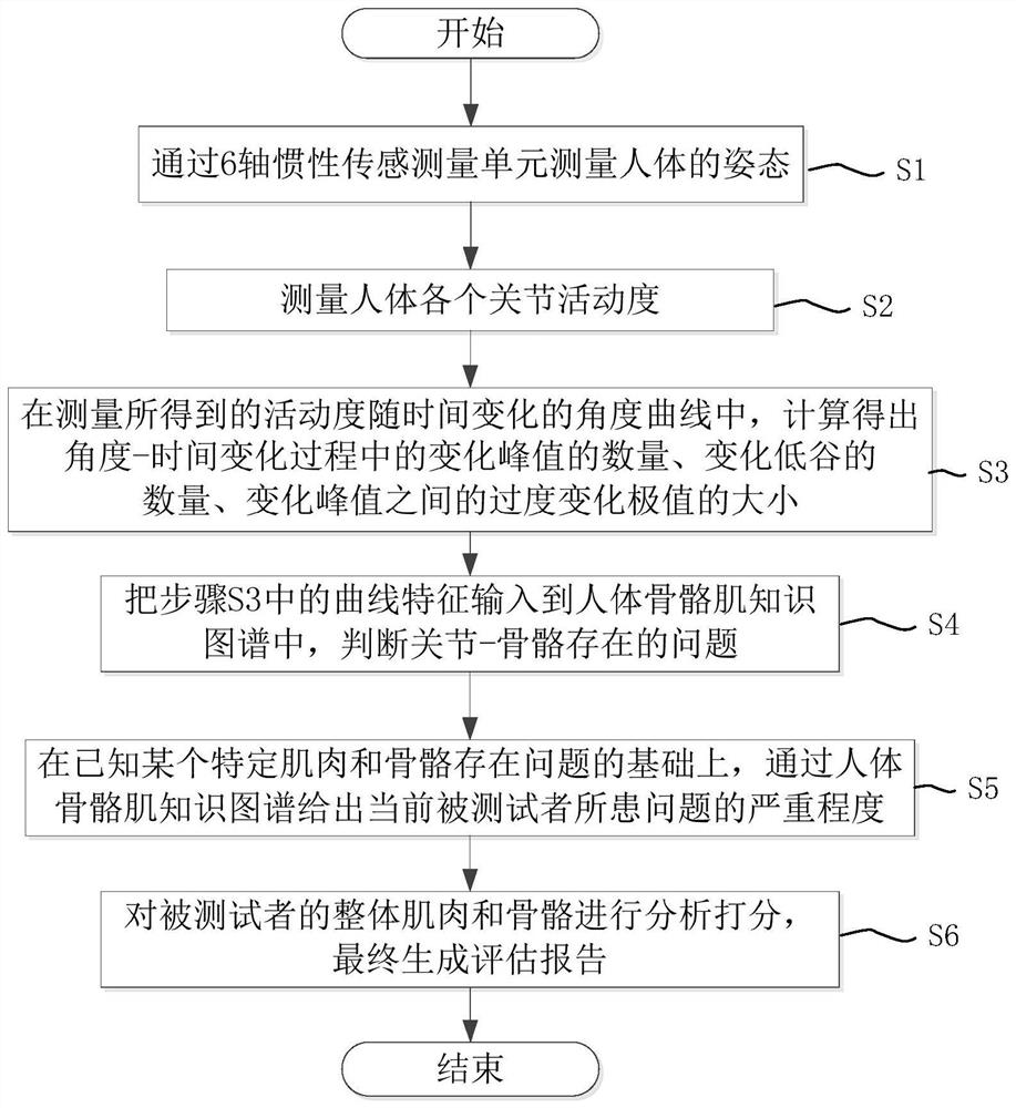 Human muscle and bone health condition analysis method based on motion features and knowledge graph