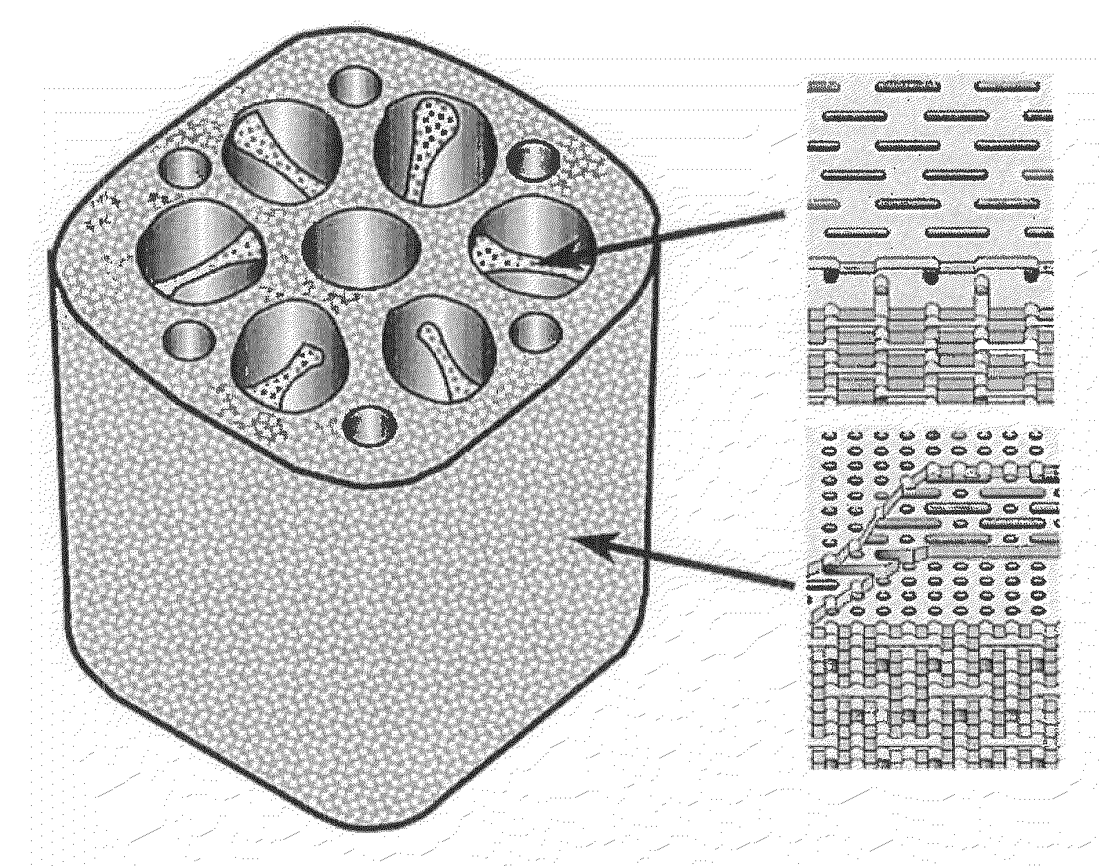 Biomaterial, method of constructing the same and use thereof