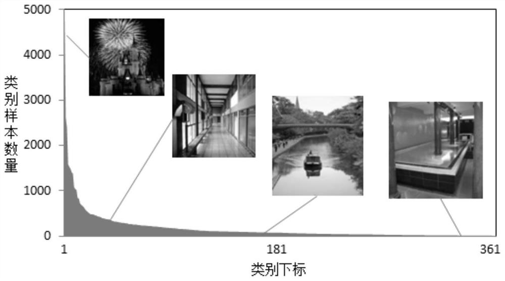 Long-tail distribution image data identification method based on dual-channel learning