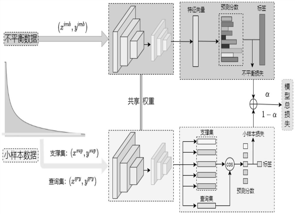 Long-tail distribution image data identification method based on dual-channel learning