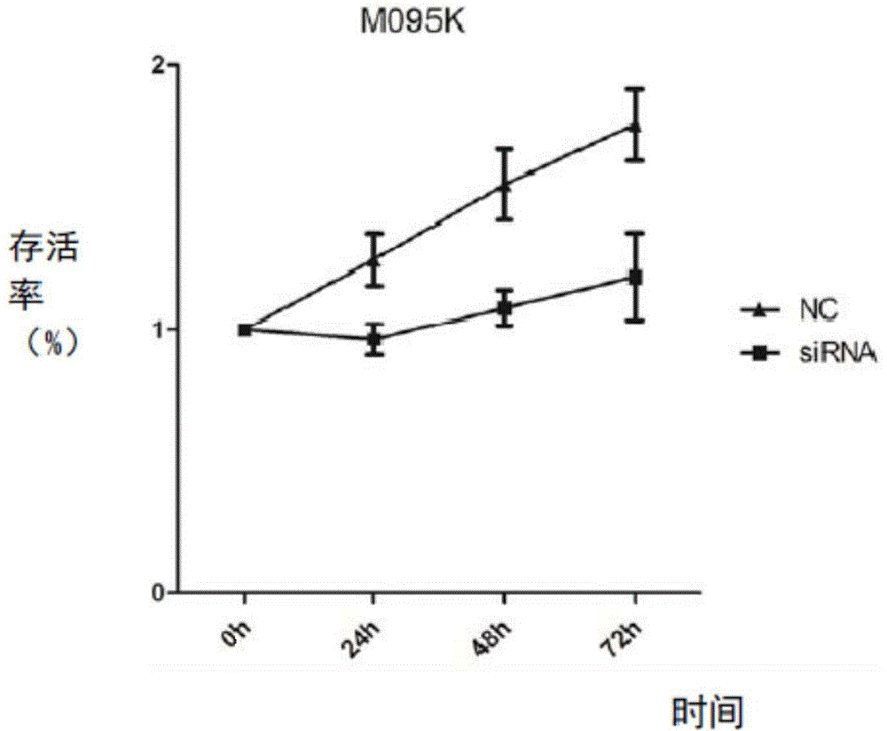 Application of long-chain non-coding RNA molecule SNHG18 in preparing medicine for treating brain glioma