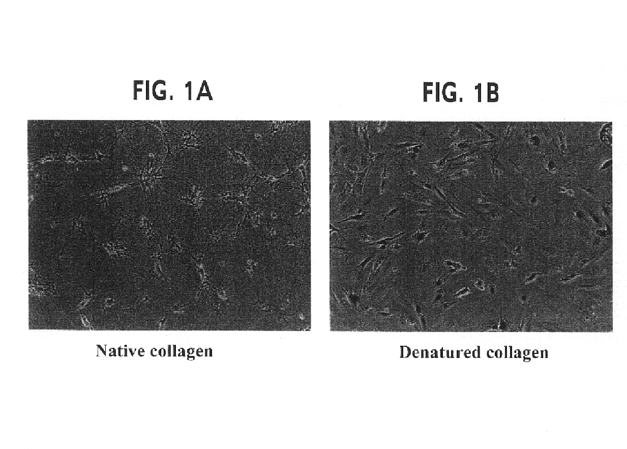 Methods and compositions for enhancing the delivery of a nucleic acid to a cell