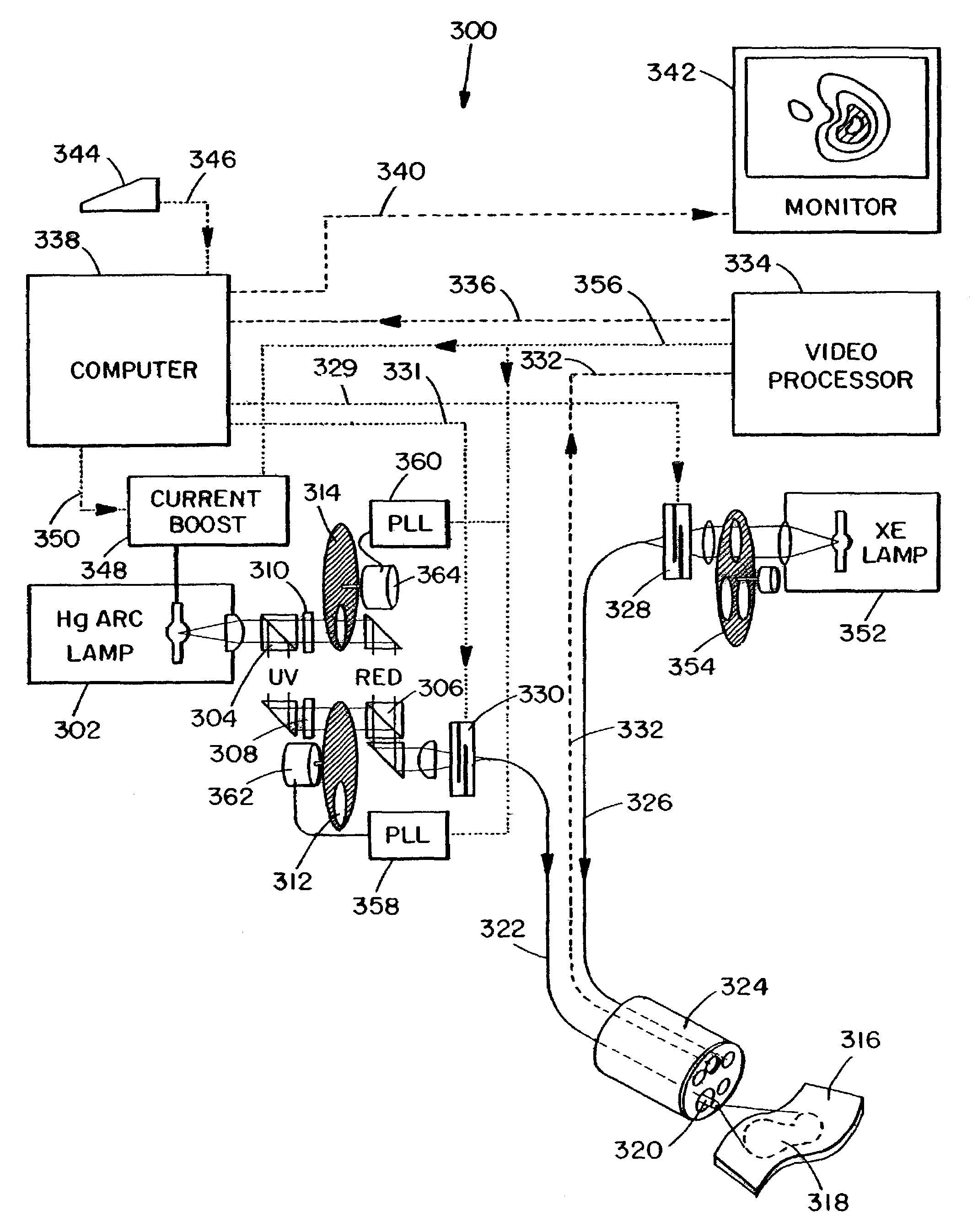 Fluorescence imaging endoscope