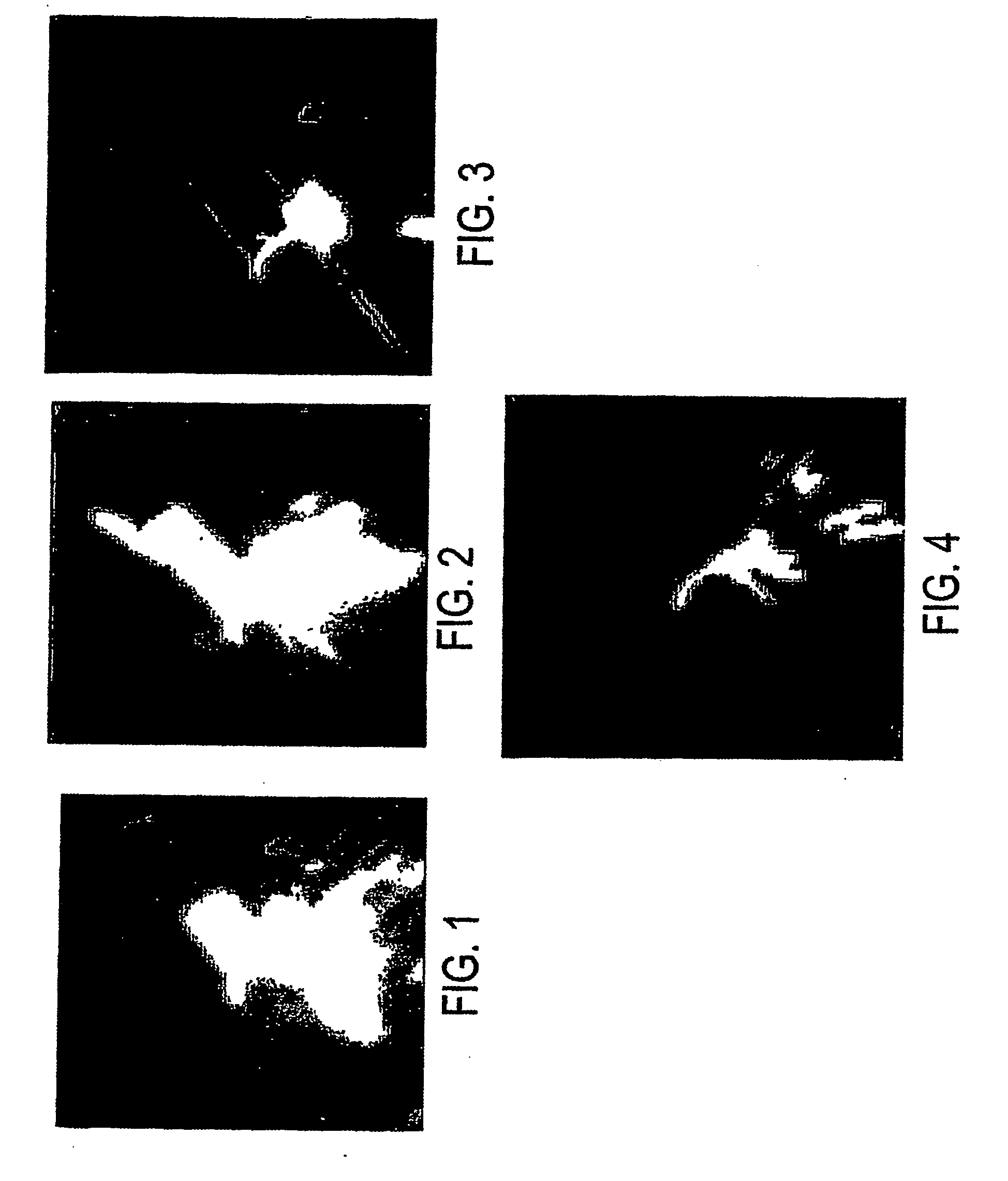 Metalworking and machining fluids