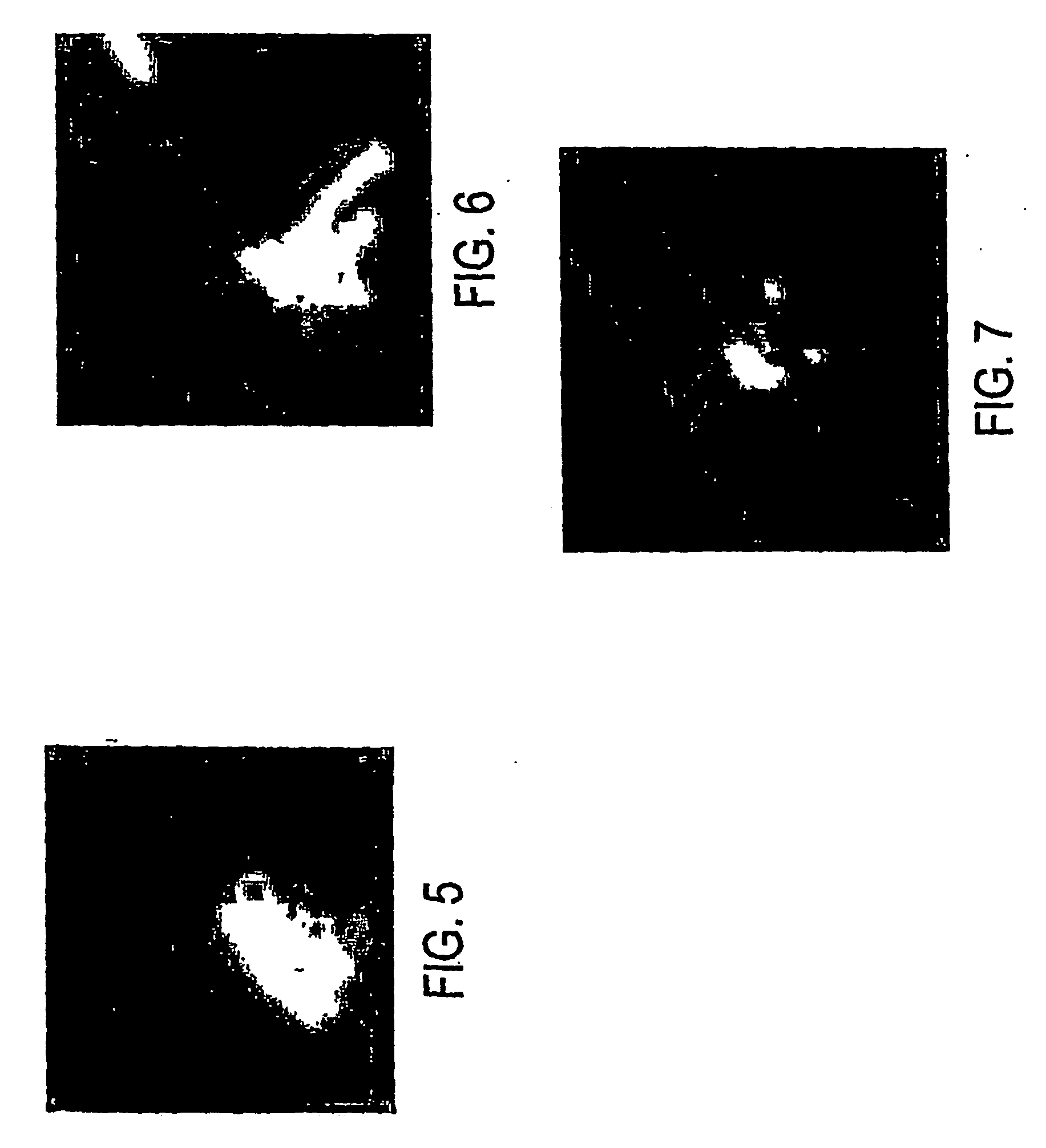 Metalworking and machining fluids