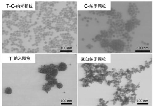 Method for preparing iron oxide nanoparticles by utilizing tea leaves