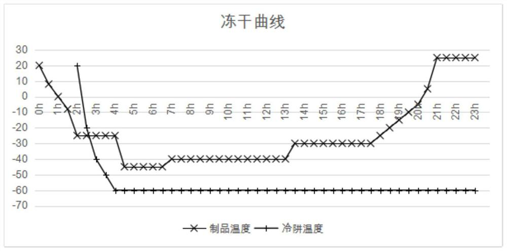 Freeze-drying protective agent, PCR amplification reagent, freeze-drying method and application thereof