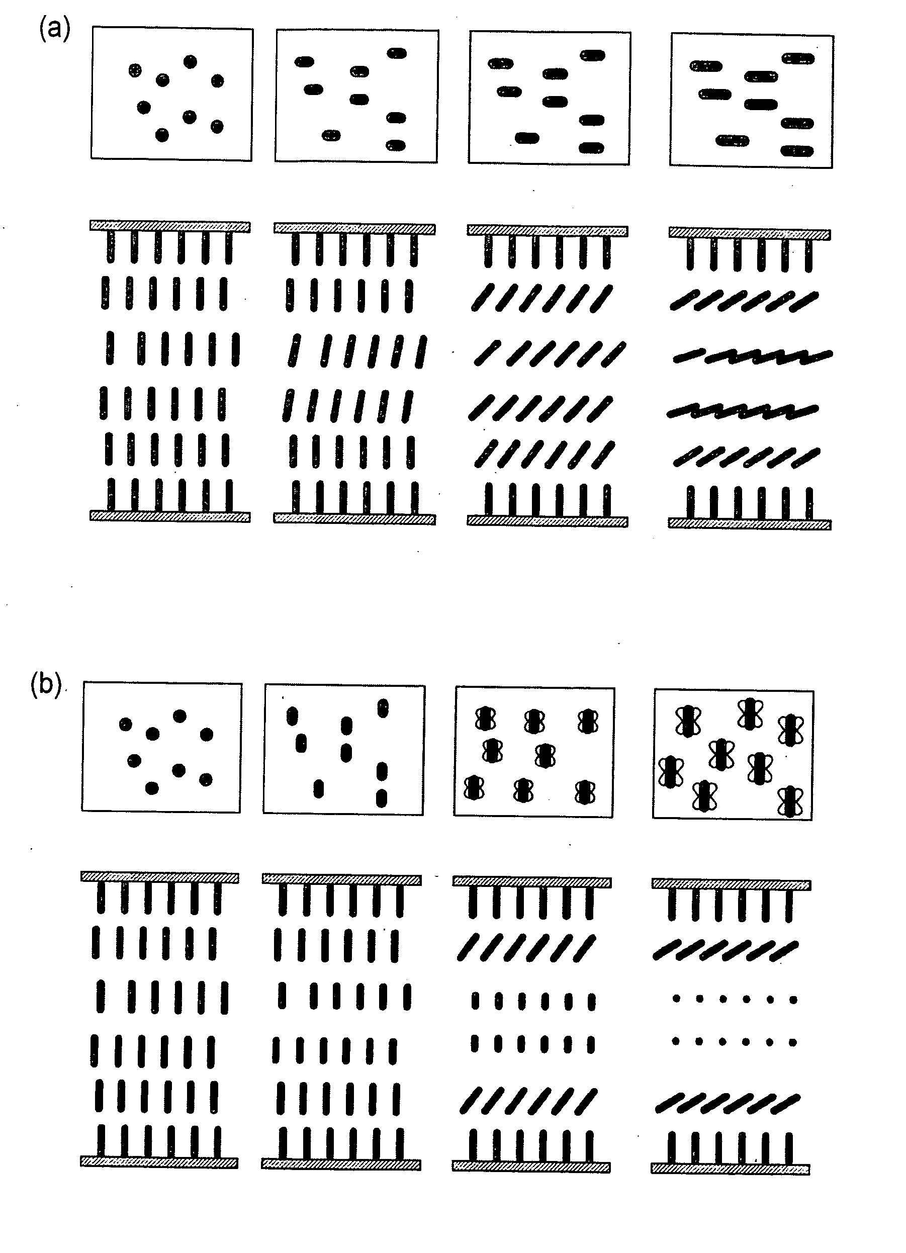 Color liquid crystal display device