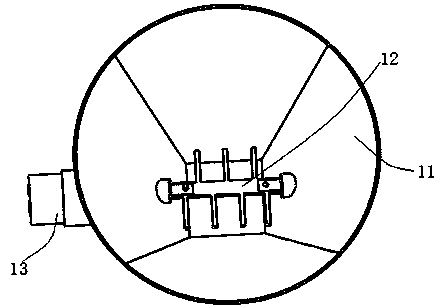 Tea feeding device and feeding method