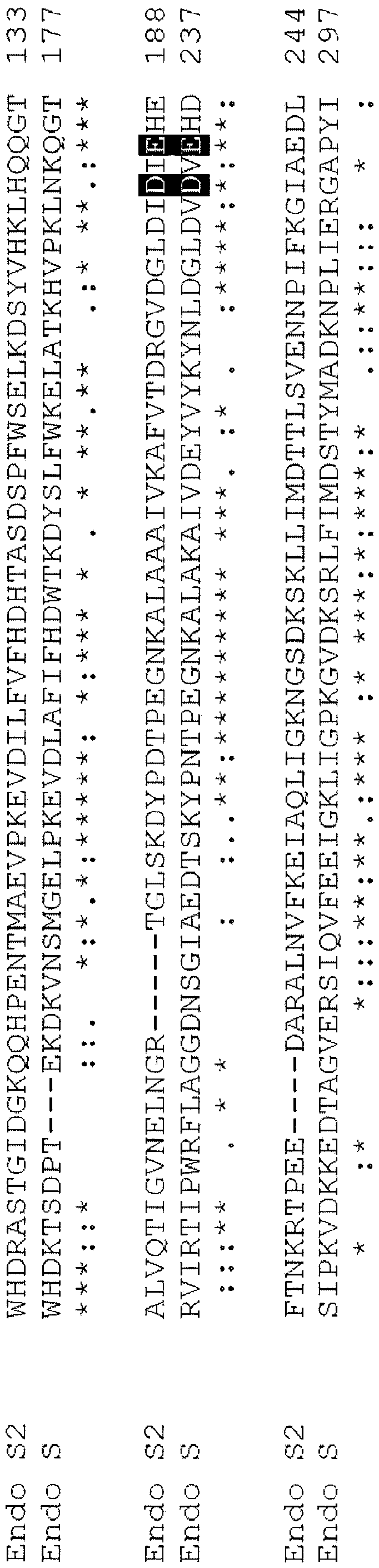 Endo-s2 mutants as glycosynthases, method of making and use for glycoengineering of glycoproteins