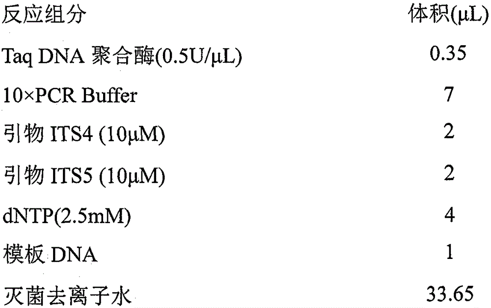 Method for preparing shenqu by purebred fermentation