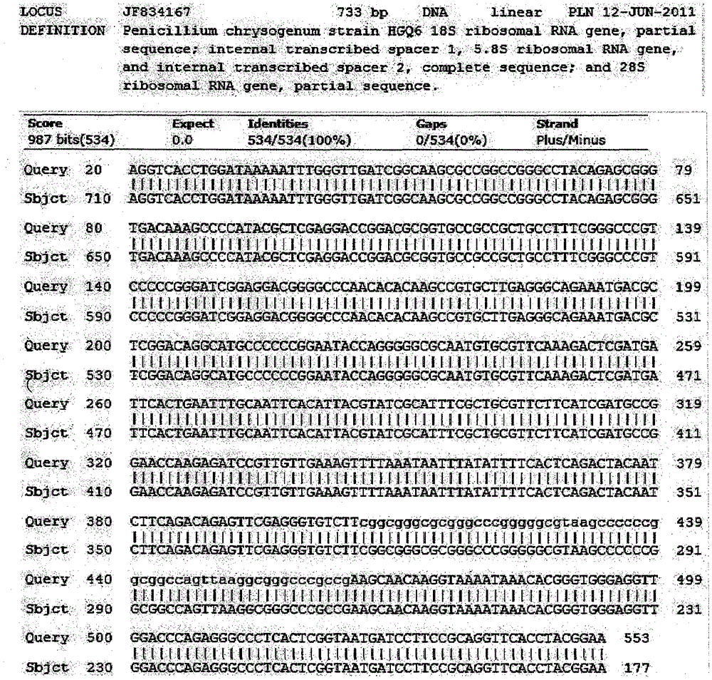 Method for preparing shenqu by purebred fermentation