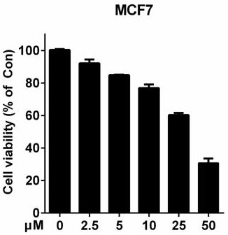 Application of 5,7-dibromo-8-(methoxymethoxy)-2-methylquinoline or its medicinal salt in treating breast cancer