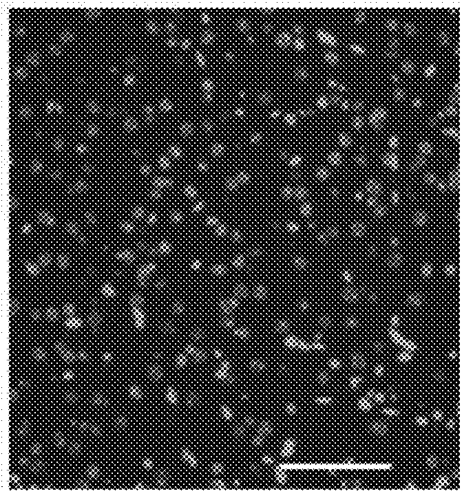 Inhibition of rip kinases for treating lysosomal storage diseases