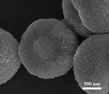 Preparation method of ZnO semispherical micro-nanostructure and obtained product