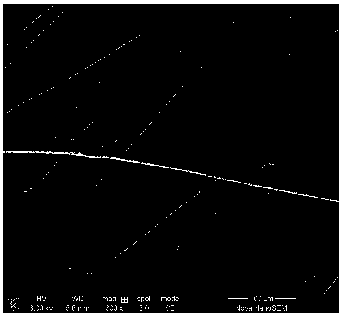 A self-cleaning polybenzoxazine superhydrophobic superoleophilic omentum material and its preparation and application in oil-water separation