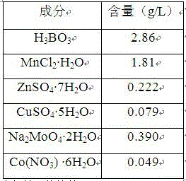 Highly oil-containing monoraphidium and culture and application thereof