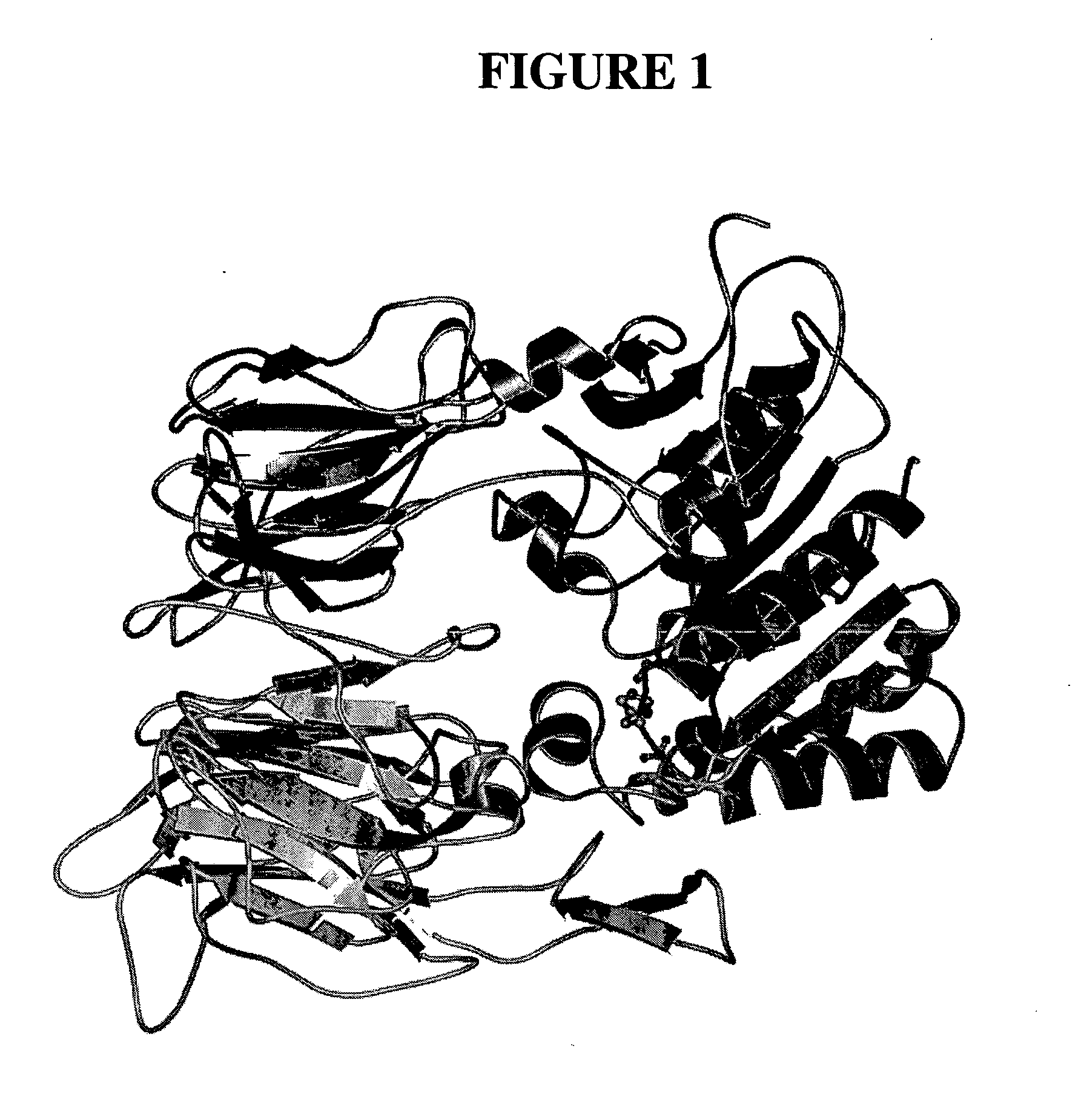 Dipeptidyl peptidase inhibitors