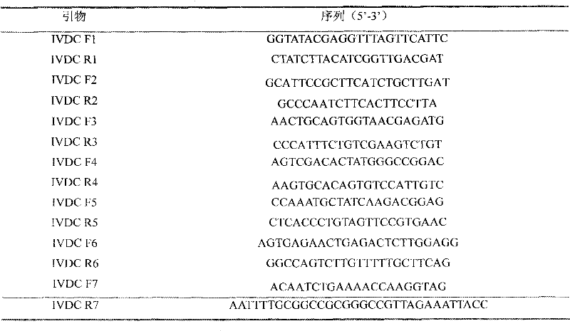 Method for producing swine fever vaccines