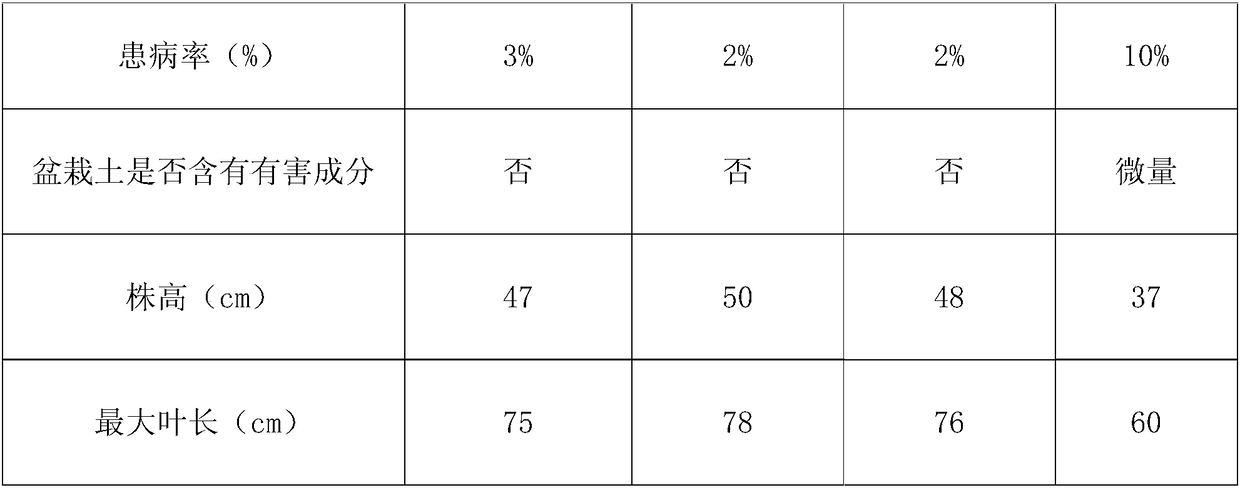 Organic fertilizer for monstera deliciosa and production method thereof