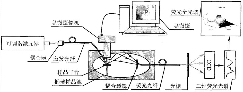 Microscopic fluorescence identification method for arene component of oil gas inclusion