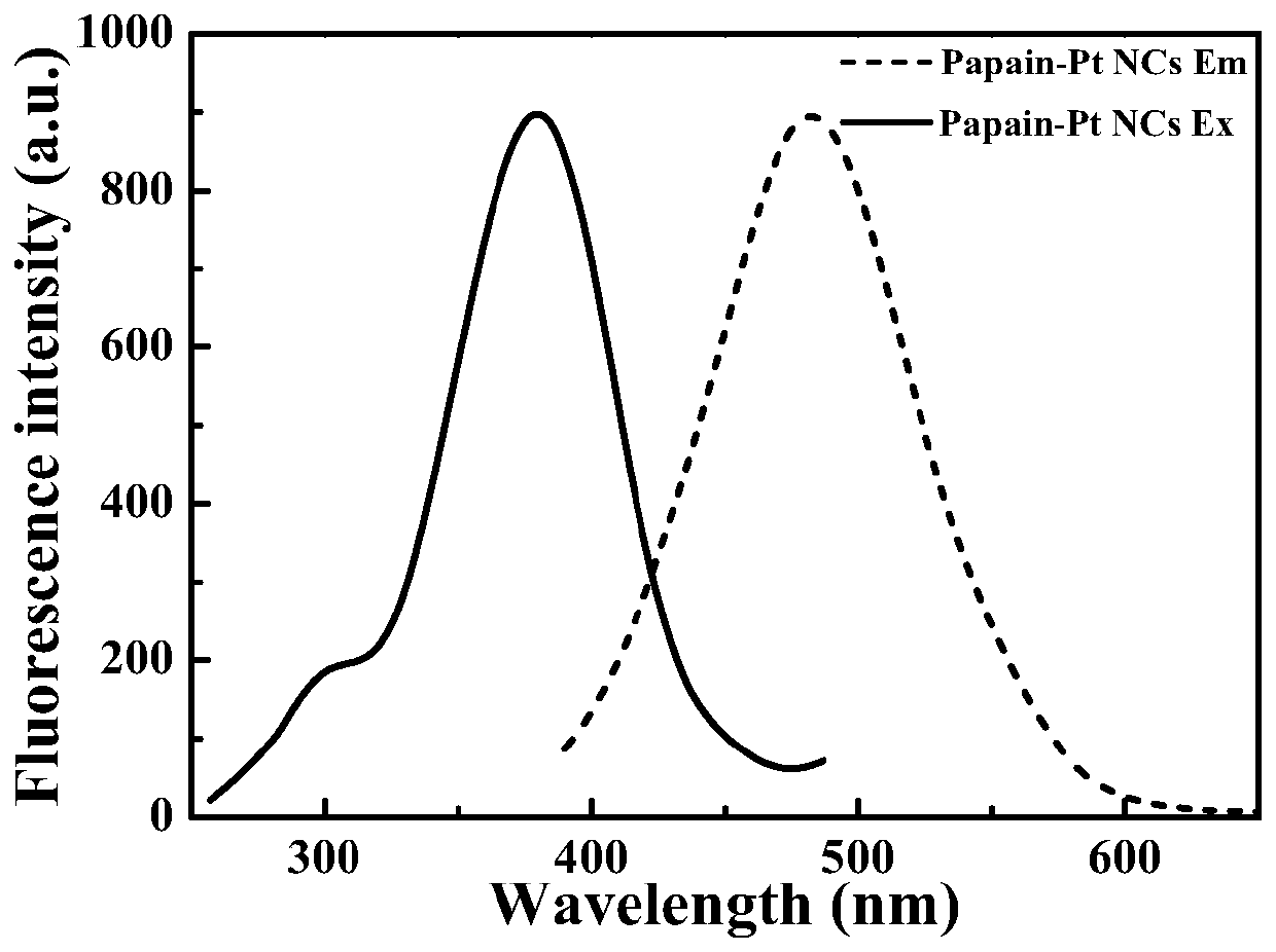 Fluorescent platinum nano-cluster based on papain as template and preparation method and application of fluorescent platinum nano-cluster