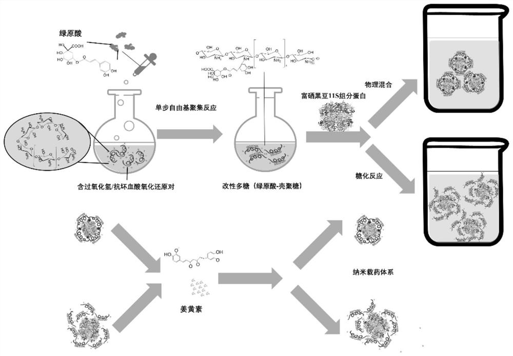 PH response slow release selenium-containing protein composite nanoparticles and preparation and application