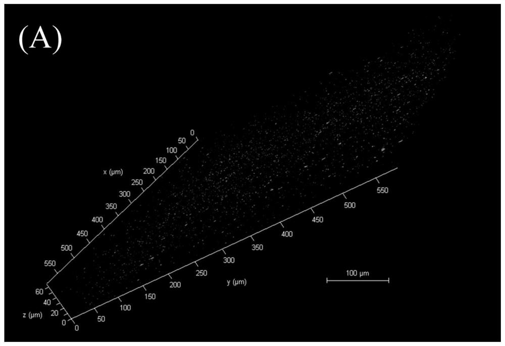 PH response slow release selenium-containing protein composite nanoparticles and preparation and application