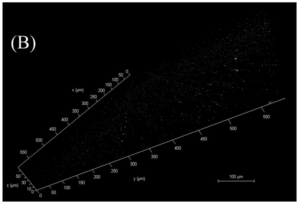 PH response slow release selenium-containing protein composite nanoparticles and preparation and application