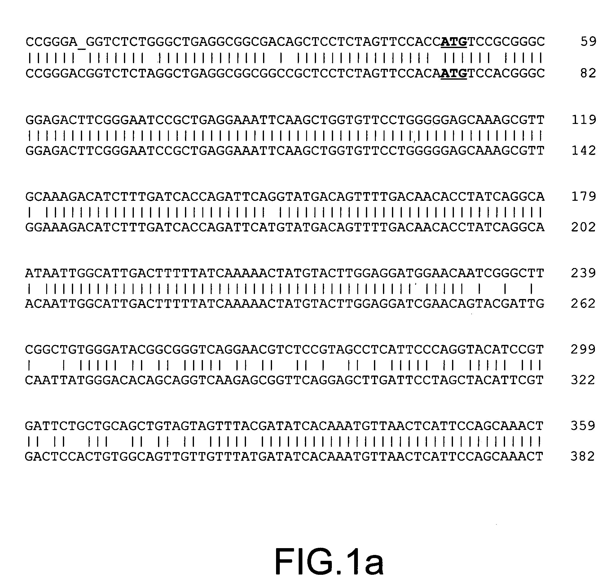 Identification of differentially methylated multiple drug resistance loci